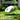 Attack shark x8 se wireless gaming mouse,55g ultra-lightweight wired/bt/2.4ghz