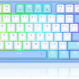 Redragon K707 80% Wired Gasket RGB Gaming Keyboard Keyboard