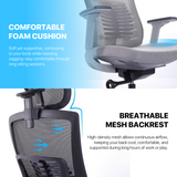 FANTECH OC1 Ergonomic Office Chair Black