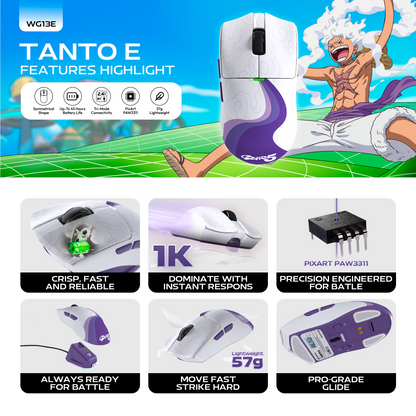 Tanto e wg13e op