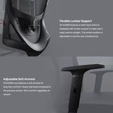 FANTECH OC A259S OFFICE CHAIR Desk & Chair