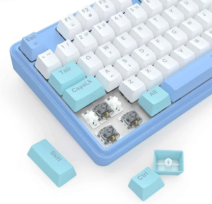 Redragon k707 rgb gaming keyboard - 80% wired gasket with rgb backlighting - keyboard