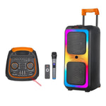 NDR 1097 High Quality Professional Sound EQ Party Portable Wireless Trolley