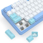 Redragon K707 80% Wired Gasket RGB Gaming Keyboard Keyboard