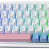 Redragon K709 PRO 65% Wireless Gasket RGB Gaming Keyboard 68 Keys Hot Swap