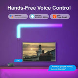 RGBIC LED Smart Wall Lamp Light Lightning