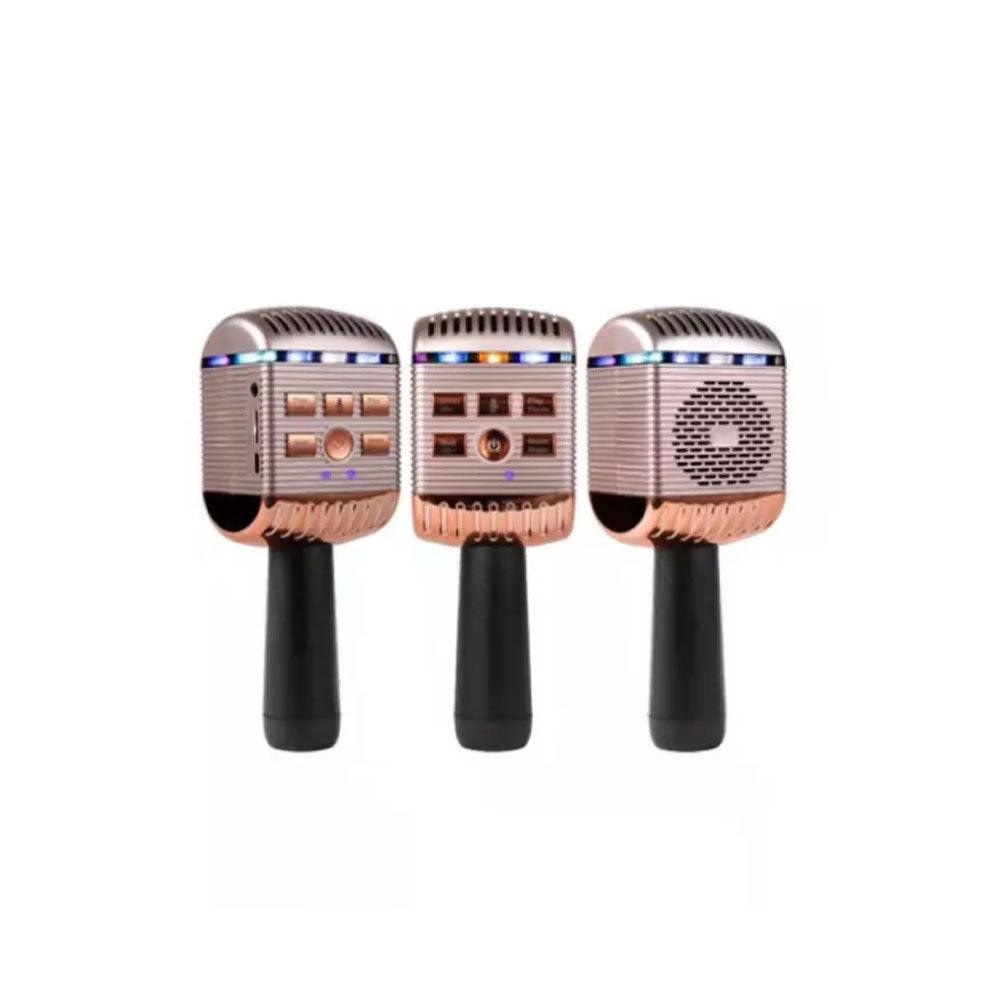 V13 Wireless Microphone HIFI Speaker Karaoke Mic Audio