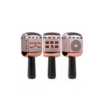 V13 Wireless Microphone HIFI Speaker Karaoke Mic Audio 15 JOD