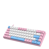 ZIYOU LANG RK T8 Wired 65% Mechanical Gaming Keyboard Keyboard