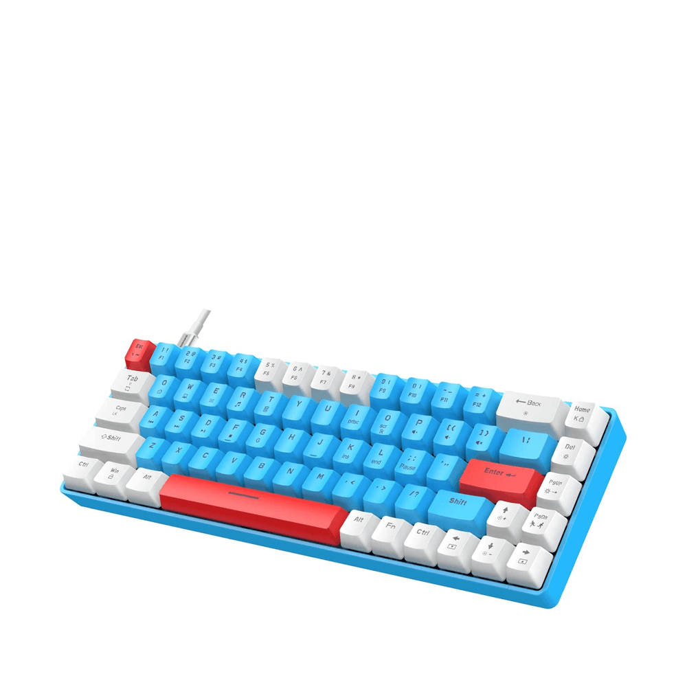 ZIYOU LANG RK - T8 Wired 65% Mechanical Gaming Keyboard Keyboard 28 JOD