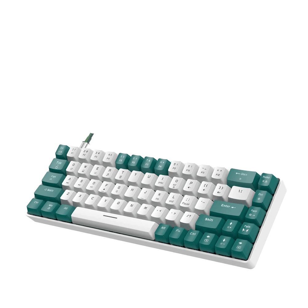 ZIYOU LANG RK - T8 Wired 65% Mechanical Gaming Keyboard Keyboard 28 JOD
