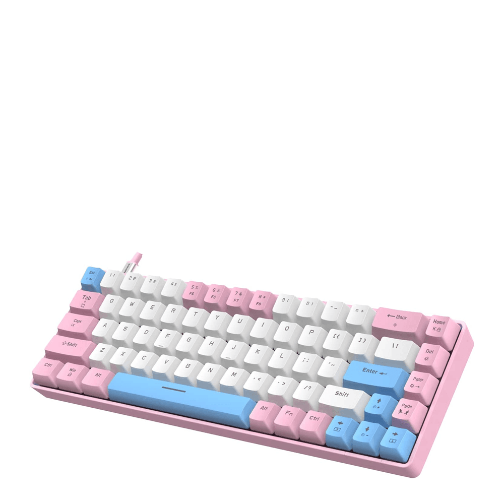 Ziyou lang rk-t8 wired 65% mechanical gaming keyboard